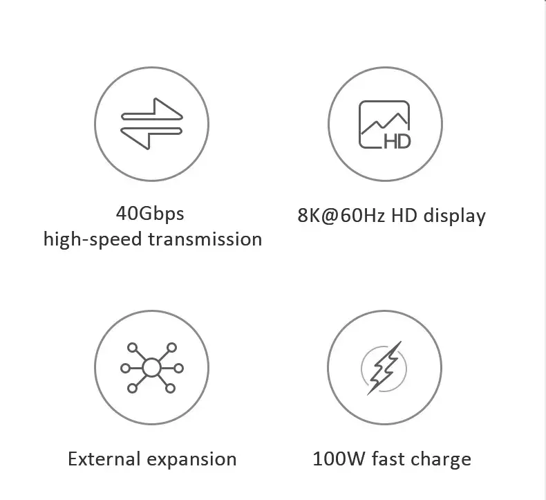 USB4-100W (2)