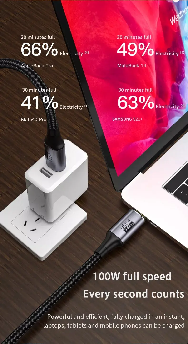 USB4-100W (9)