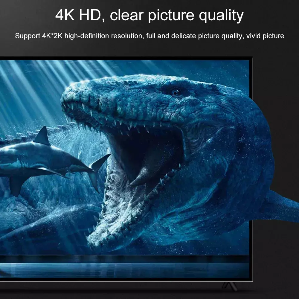 Displayport to HDMI Active Adapter (7)